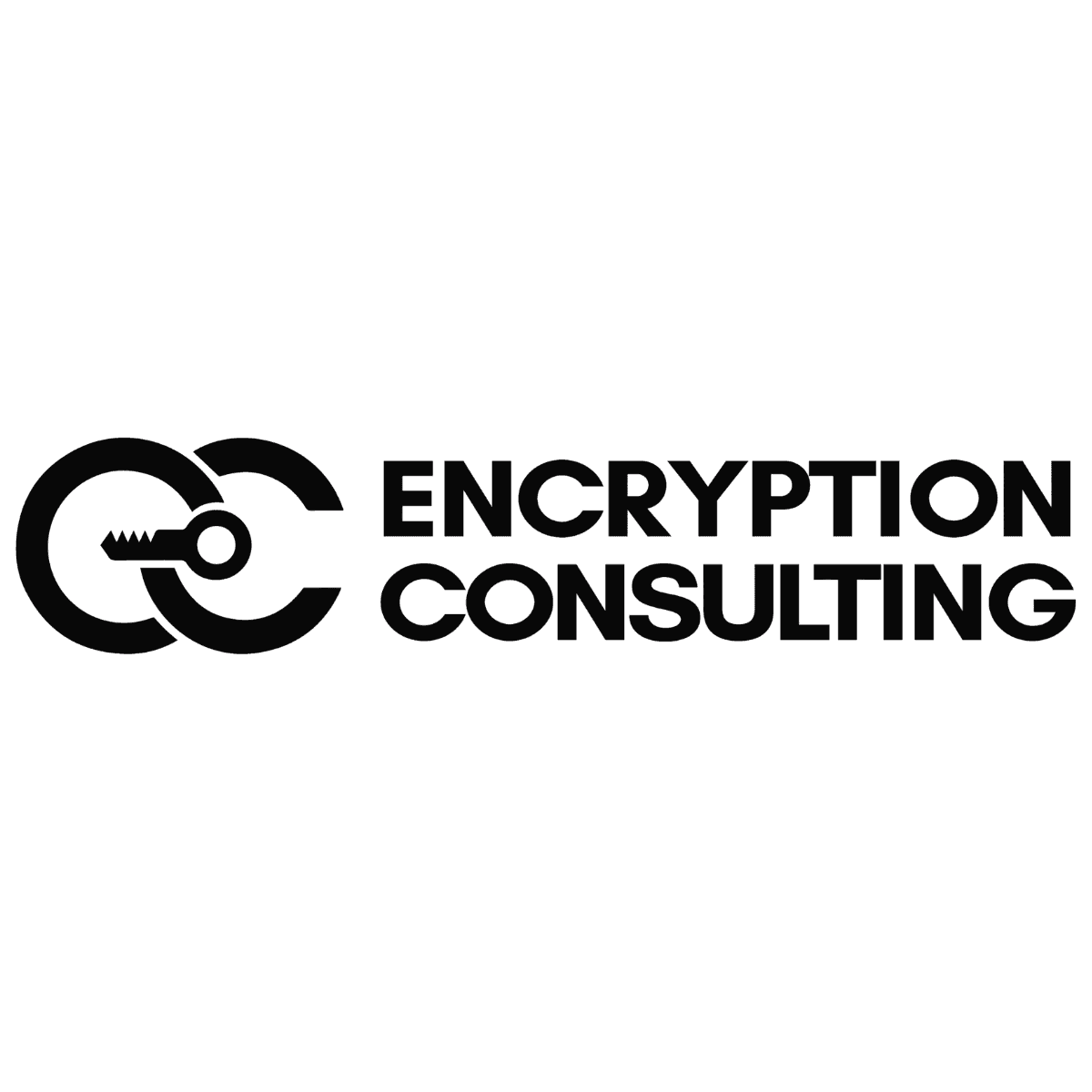 Partner Company Logo